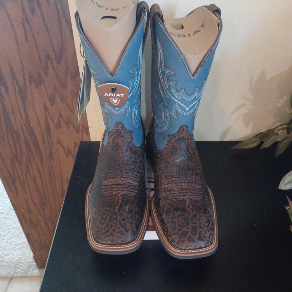 Ariat boots (men)